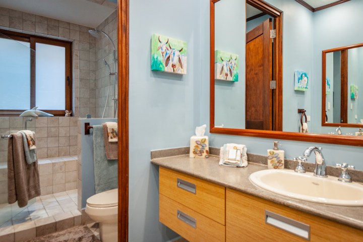 Bathroom with blue walls, wood accents, sink, and shower with glass door and decorative towels.