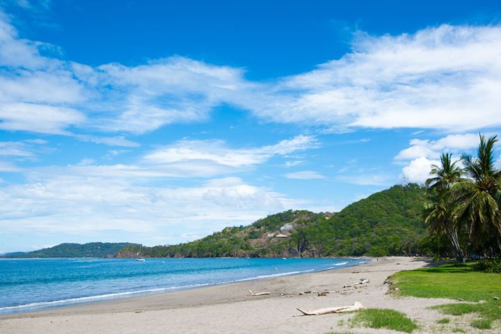 Tropical beach with palm trees, clear blue sky, and distant green hills.