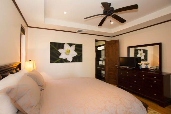 Bedroom with a ceiling fan, large bed, dresser, TV, and floral artwork.