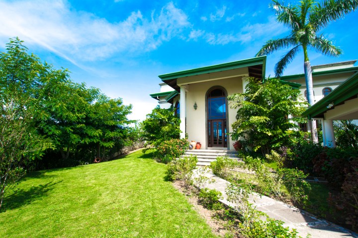 Luxury villa with green roof, lush garden, and palm trees under a clear blue sky.