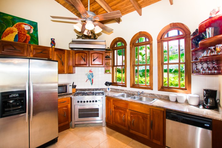 Wooden kitchen with large windows, stainless steel appliances, and parrot art on the wall.