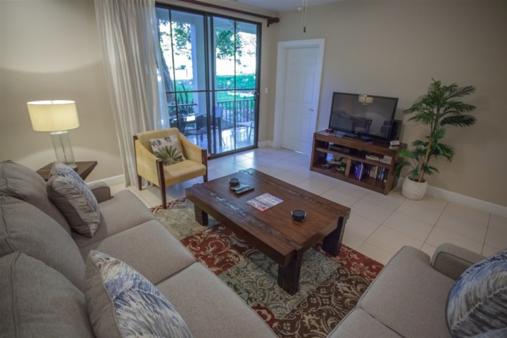 Cozy living room with gray sofa, wooden table, TV, armchair, lamp, and potted plant near sliding glass doors.