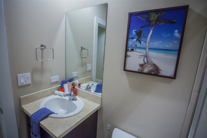 Bathroom with sink, mirror, towels, and a beach painting on the wall.
