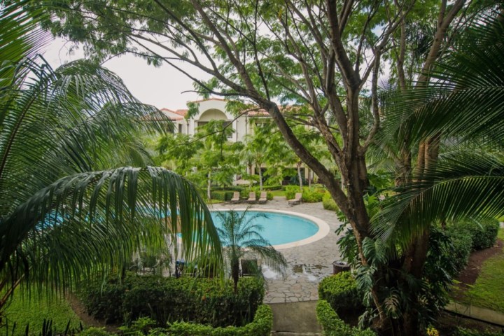 Tropical garden with a circular pool surrounded by trees and shrubs.