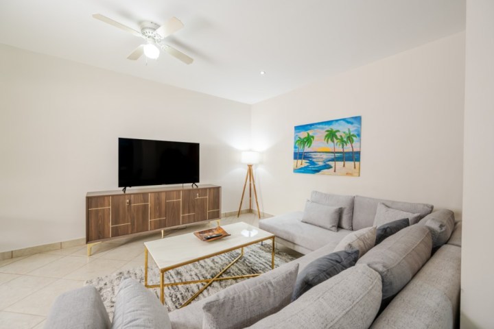 Modern living room with gray sofa, TV, ceiling fan, palm tree painting, and floor lamp.