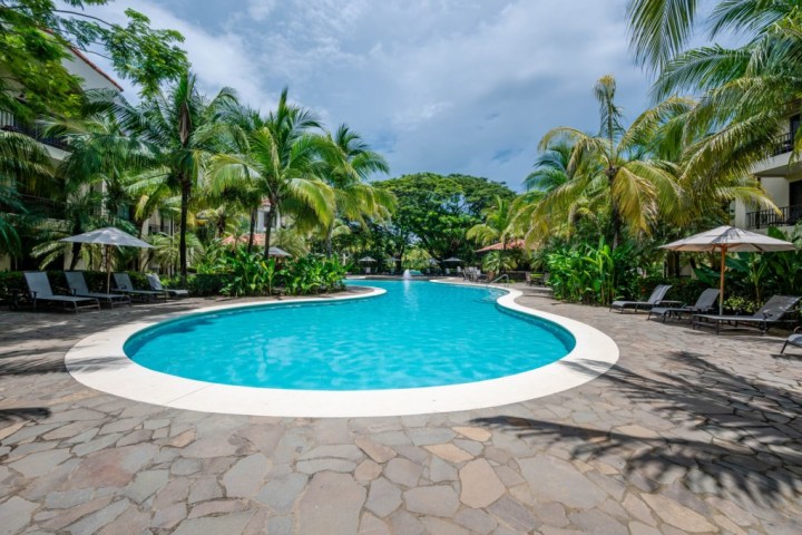 Curved swimming pool surrounded by palm trees and lounge chairs under umbrellas.