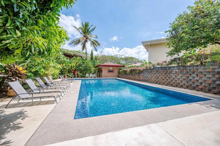 Outdoor pool with lounge chairs, surrounded by trees and a stone wall, under a clear sky.