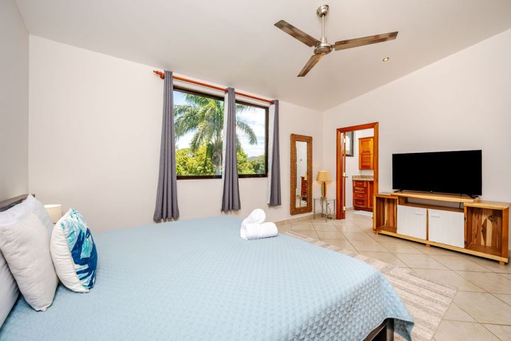Bedroom with large bed, window view of palm trees, TV, and ceiling fan.