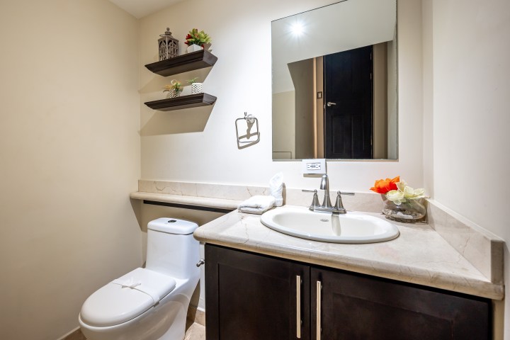 Bathroom with toilet, sink, mirror, and shelves with decor items and plants.