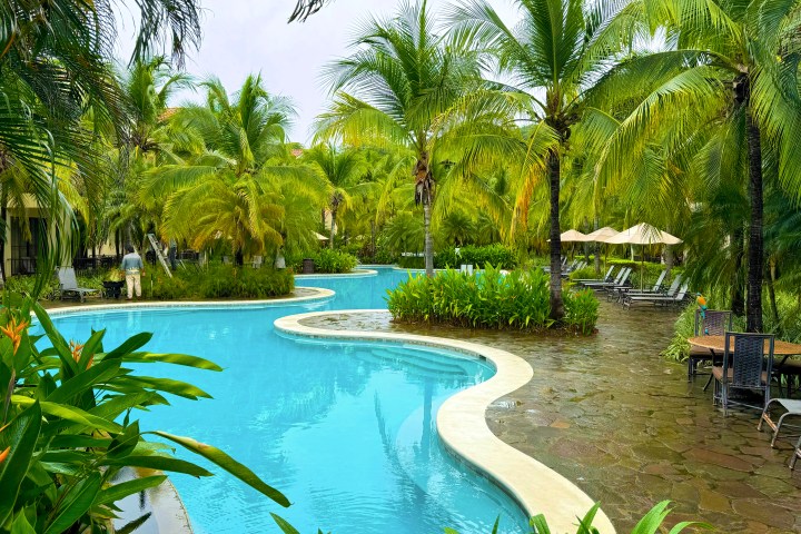 Curved pool surrounded by palm trees and lounge chairs in a tropical setting.