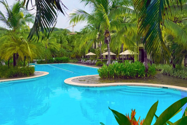 Resort pool surrounded by palm trees and lounge chairs with umbrellas.