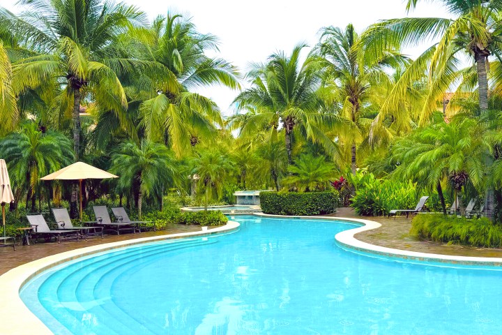 Tropical pool area with lounge chairs and palm trees.