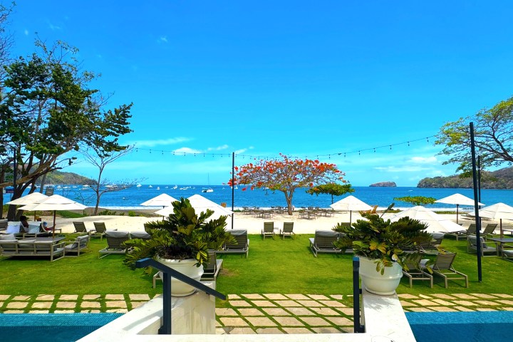 Beachfront with lounge chairs, umbrellas, string lights, and blue ocean under a clear sky.