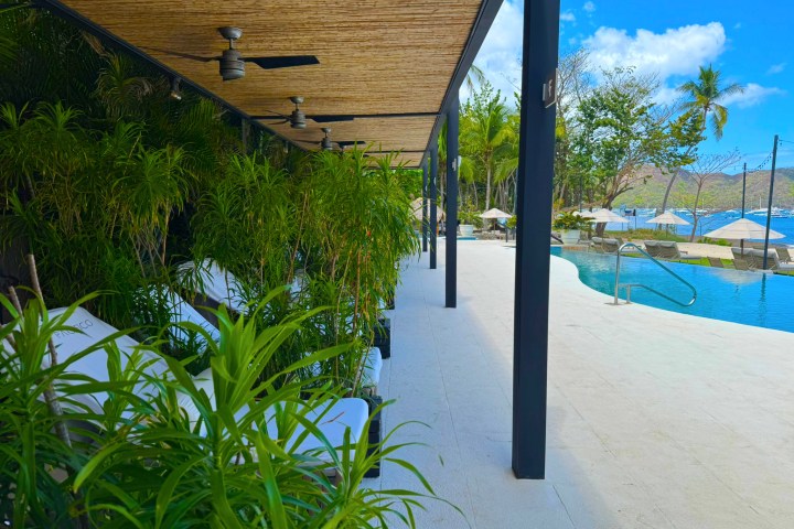 Poolside area with lounge chairs and umbrellas, surrounded by lush greenery and a view of the ocean.