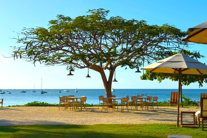 Tree with hanging lights by beach, tables and chairs, umbrellas, and boats on the ocean.