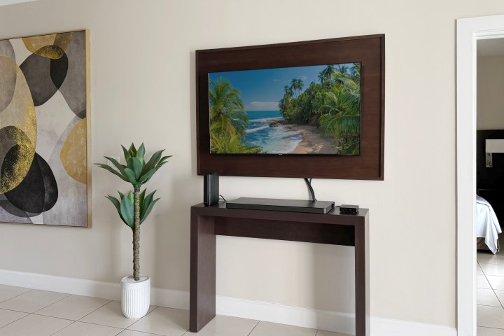 Room with abstract art, potted plant, TV displaying beach scene, and doorway view to bedroom.