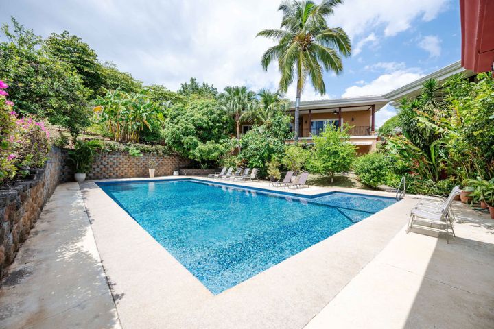 Outdoor pool with lounge chairs, surrounded by lush greenery and a palm tree, under a clear blue sky.