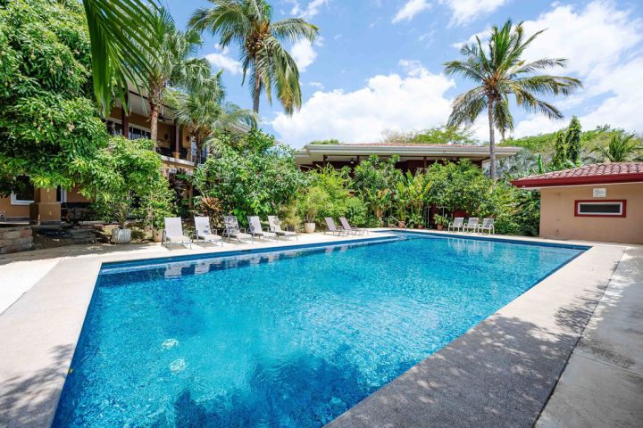 Outdoor pool with lounge chairs, palm trees, and a building in the background on a sunny day.