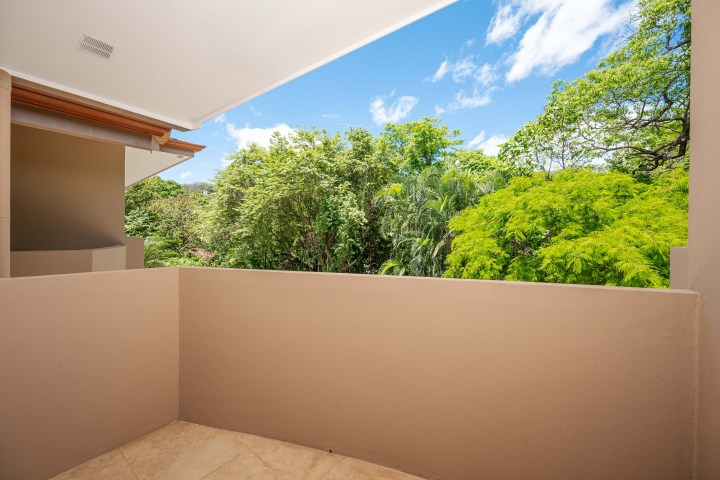 Balcony view of lush green trees under a clear blue sky.