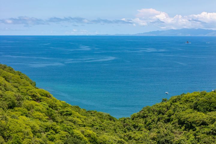 Lush green forest with a vast blue ocean and distant mountains under a clear sky.