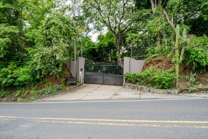 Gated driveway entrance surrounded by lush greenery and trees.