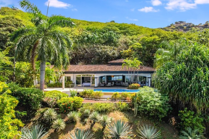 House with pool surrounded by lush greenery and palm trees.