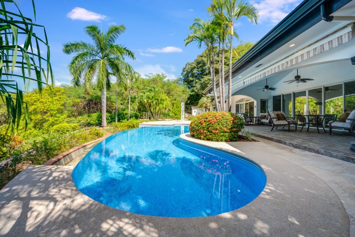Outdoor pool with patio, palm trees, and lounge chairs beside a modern house.