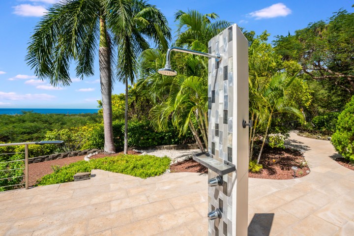 Outdoor shower surrounded by palm trees and greenery with ocean view.