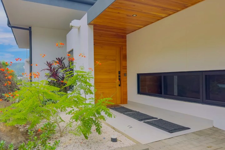 Modern house entrance with wooden door, side window, garden plants, and a paved walkway.