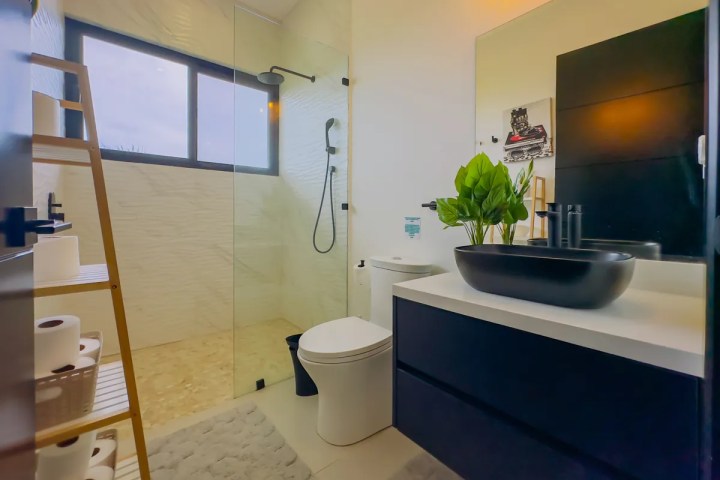 Modern bathroom with black sink, shower, decorative plant, and ladder shelf with towels and toilet paper.