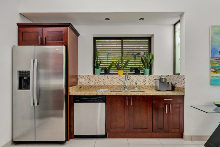 Modern kitchen with stainless steel fridge, sink, and appliance, with plants on the countertop.