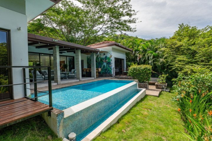 Modern house with pool surrounded by lush greenery and a mural on the wall.