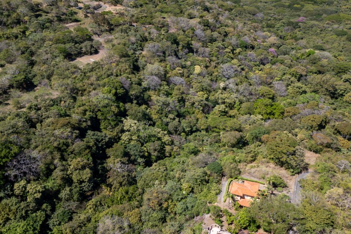 Aerial view of houses in a forested area near a blue ocean with scattered islands.