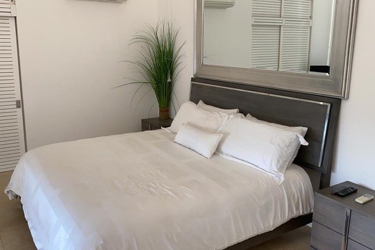 Modern bedroom with a double bed, white bedding, plants, and large mirror on the headboard wall.