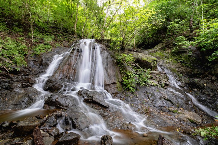 Small waterfall cascading over rocks in a lush green forest.