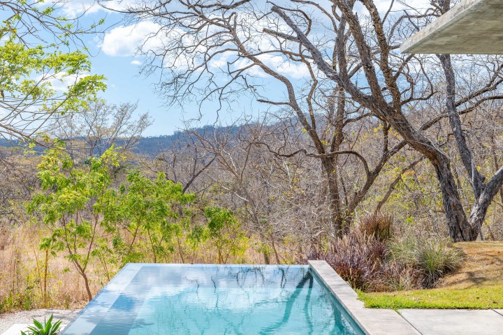 Infinity pool overlooking dry forest with sparse trees and blue sky.