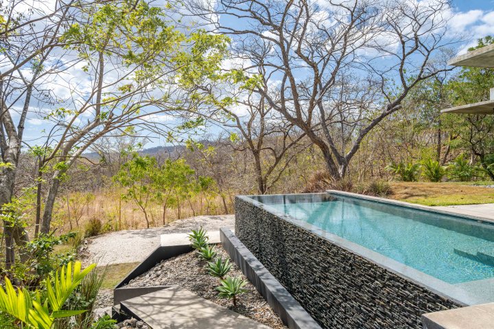Infinity pool with stone wall amid trees and dry landscape under blue sky.