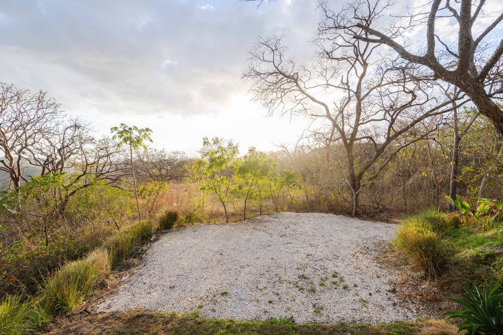 Gravel clearing surrounded by trees under a cloudy sky at sunset.
