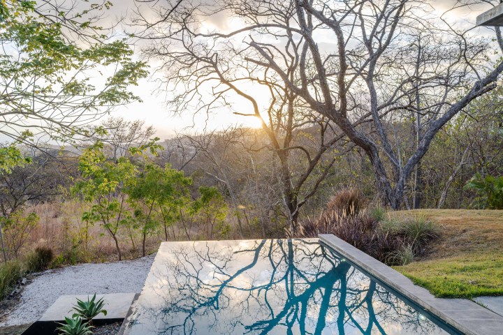 Infinity pool reflecting trees and sunset, surrounded by trees and grass.