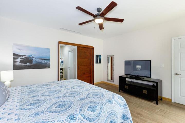Bedroom with blue bedding, ceiling fan, TV on stand, and wall art on light-colored walls.