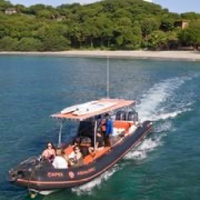 Small motorboat with people cruising on clear water, lush green island in background.