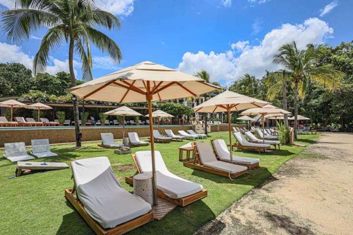 Outdoor lounge chairs with umbrellas on grass near palm trees and a building.