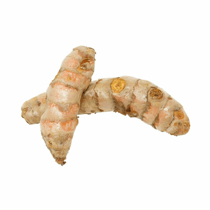 Two pieces of fresh turmeric root with light brown skin.