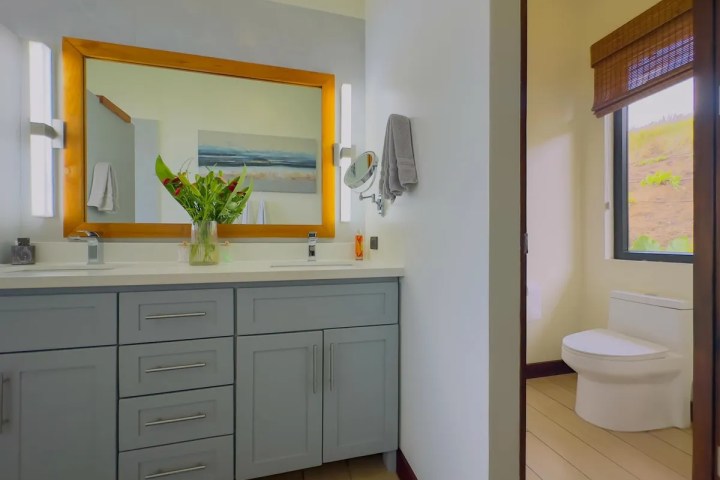 Modern bathroom with double vanity, large mirror, plants, and toilet in separate section.