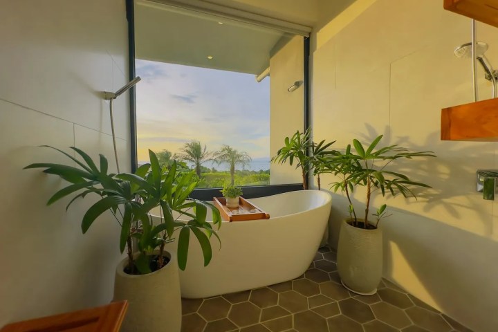 Luxurious bathroom with freestanding tub, large window, and potted plants.