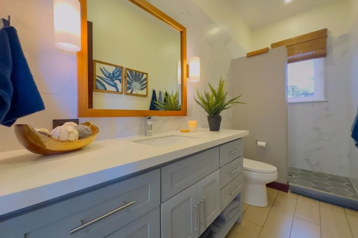 Modern bathroom with gray vanity, potted plant, and geometric tile shower.