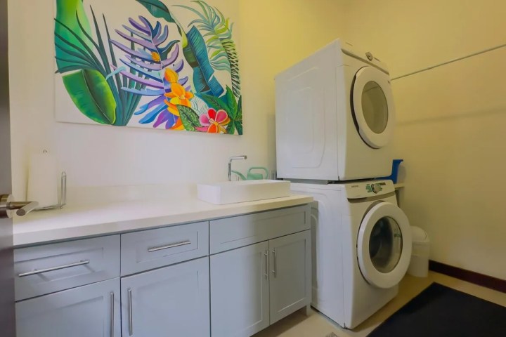 Laundry room with stacked washer and dryer, sink, and colorful floral painting.