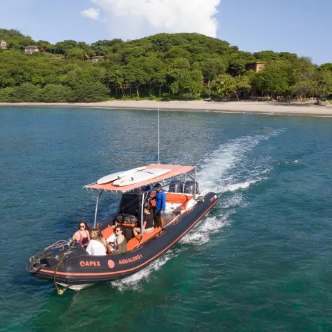 Motorboat with people cruising near a green shoreline and sandy beach.