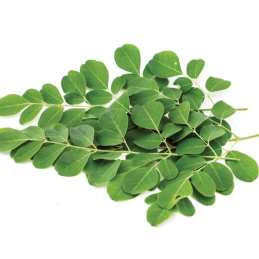 Cluster of green leaves with oval shapes on white background.