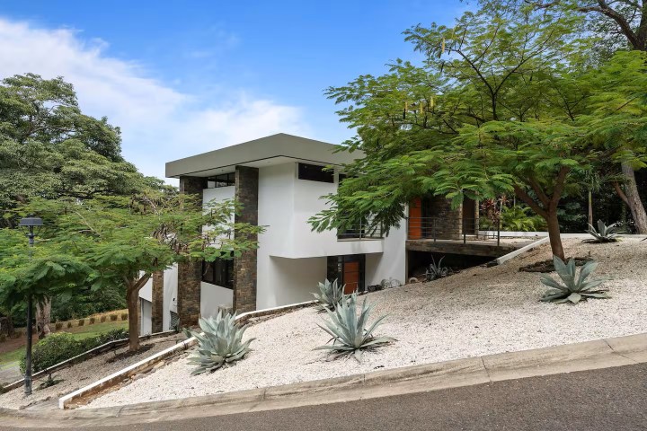 Modern white house with stone accents, surrounded by trees and agave plants on a sloped gravel landscape.